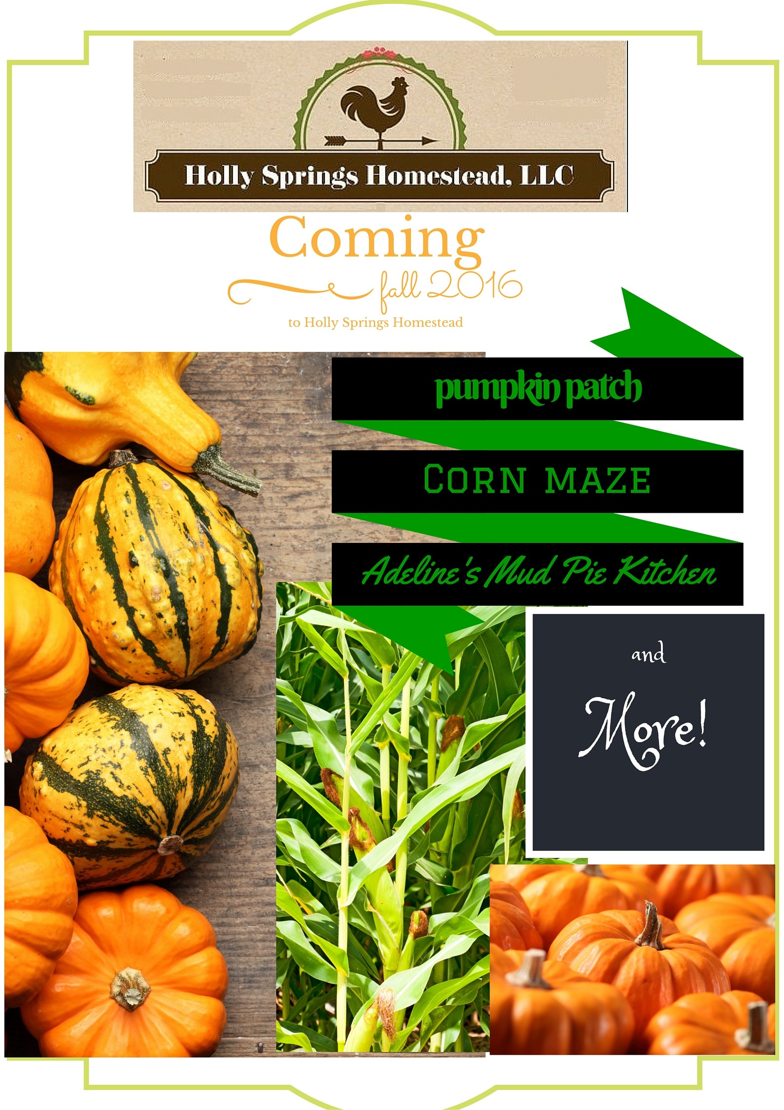 pumpkin patch, corn maze, mud pie kitchen2