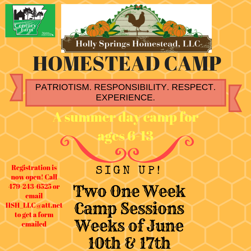 Camp flyer